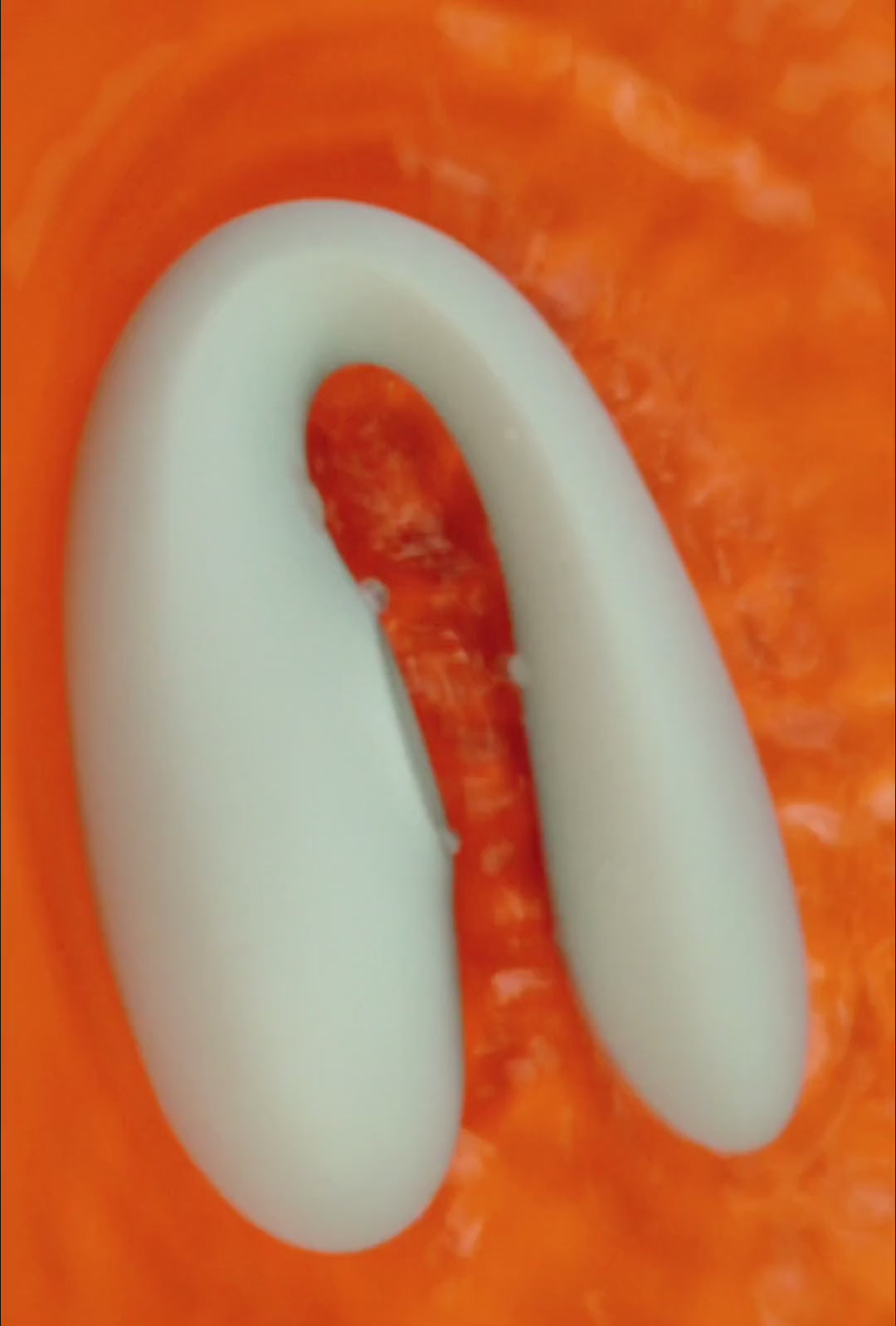 Vibrador para casais WE 2 com controle remoto