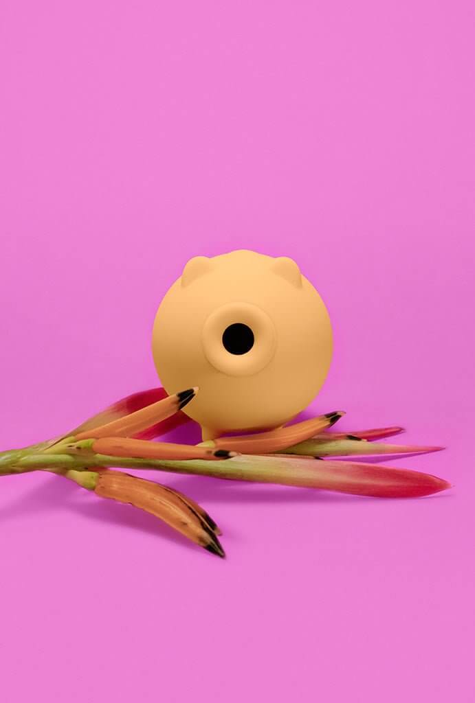 ベイブページ BABE sugador clitoriano recarregável pantynova